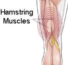 hamstring Injury