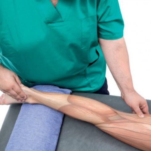 fascial leg